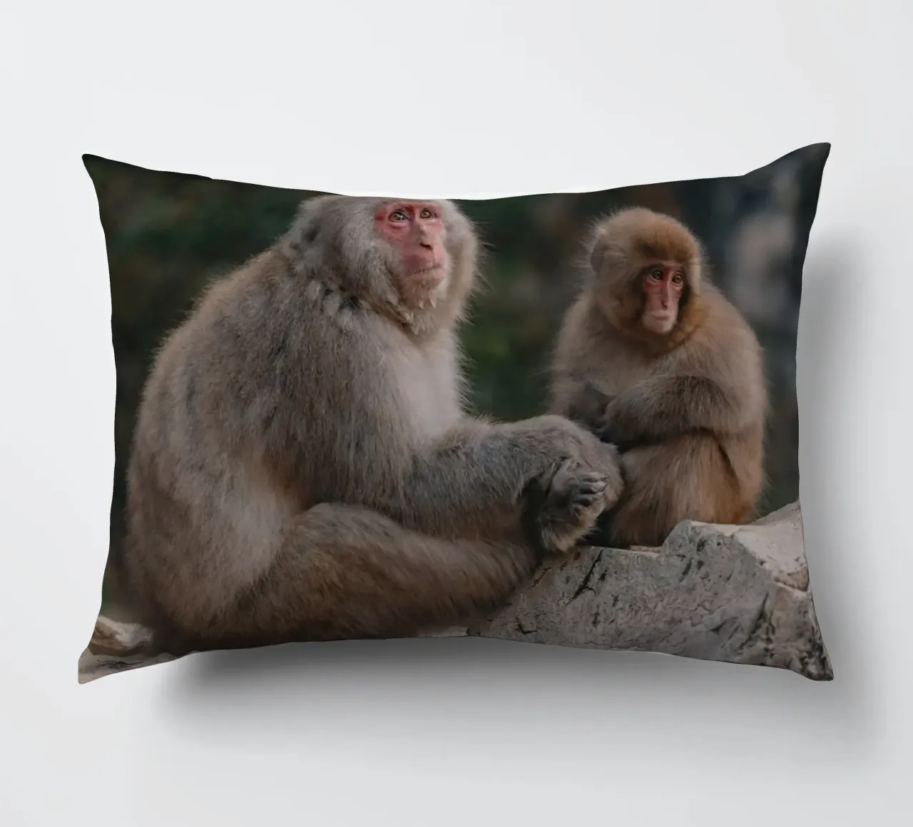 Scimmie delle nevi a Nagano, Giappone cuscino da Marcel Bisig