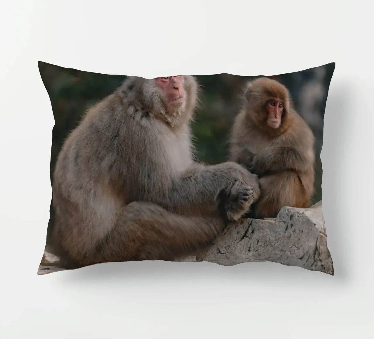 Scimmie delle nevi a Nagano, Giappone cuscino da Marcel Bisig