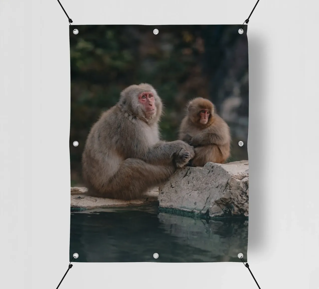 Scimmie delle nevi a Nagano, Giappone telo in pvc da Marcel Bisig