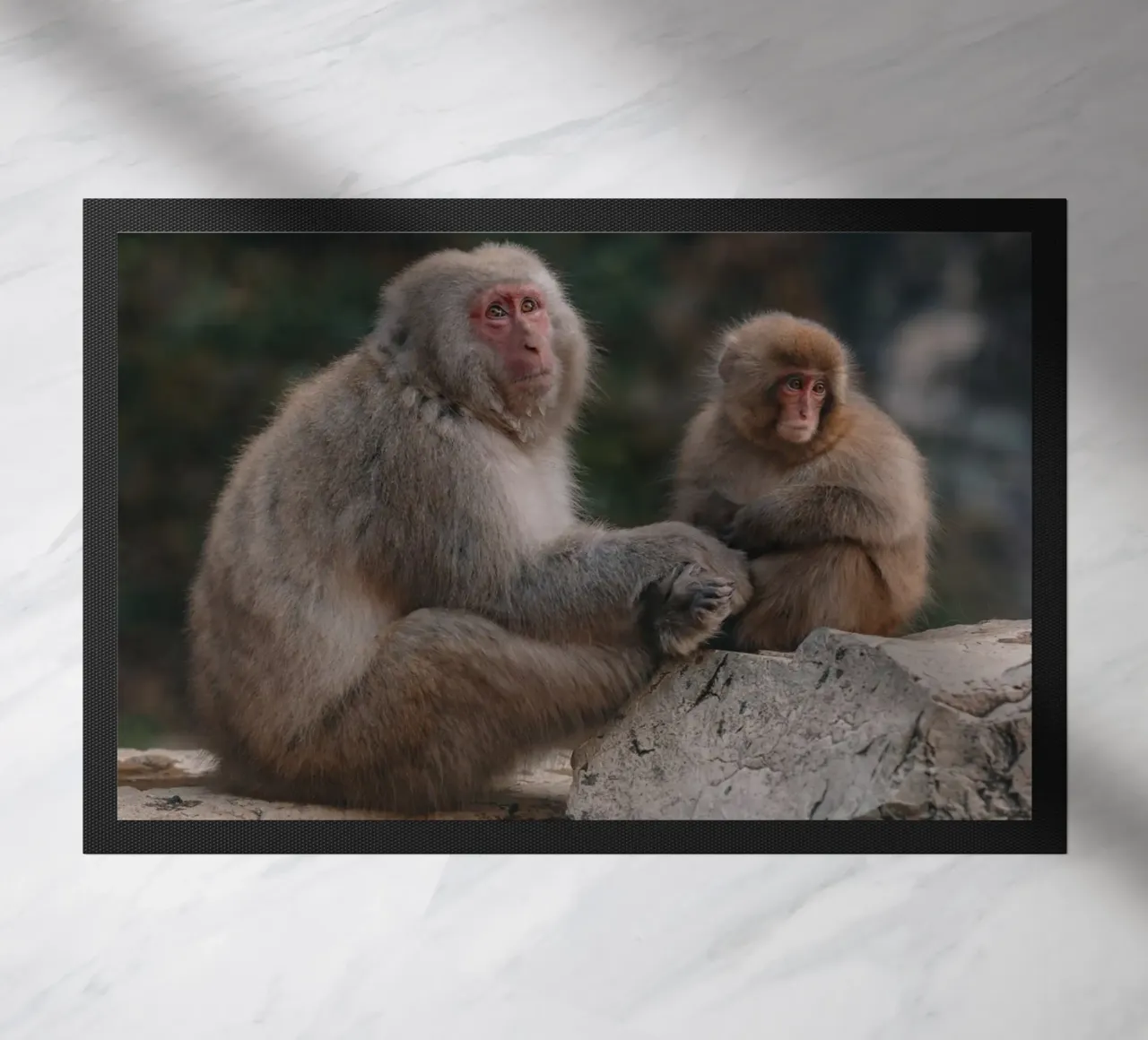 Scimmie delle nevi a Nagano, Giappone zerbino da Marcel Bisig