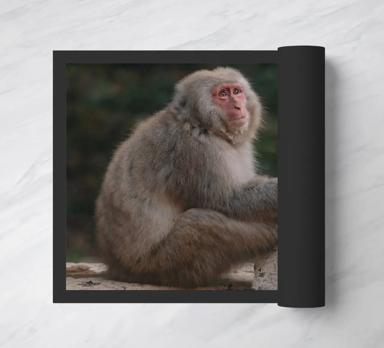 Scimmie delle nevi a Nagano, Giappone zerbino da Marcel Bisig