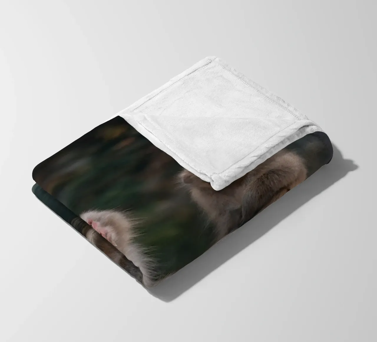 Scimmie delle nevi a Nagano, Giappone coperta in pile da Marcel Bisig