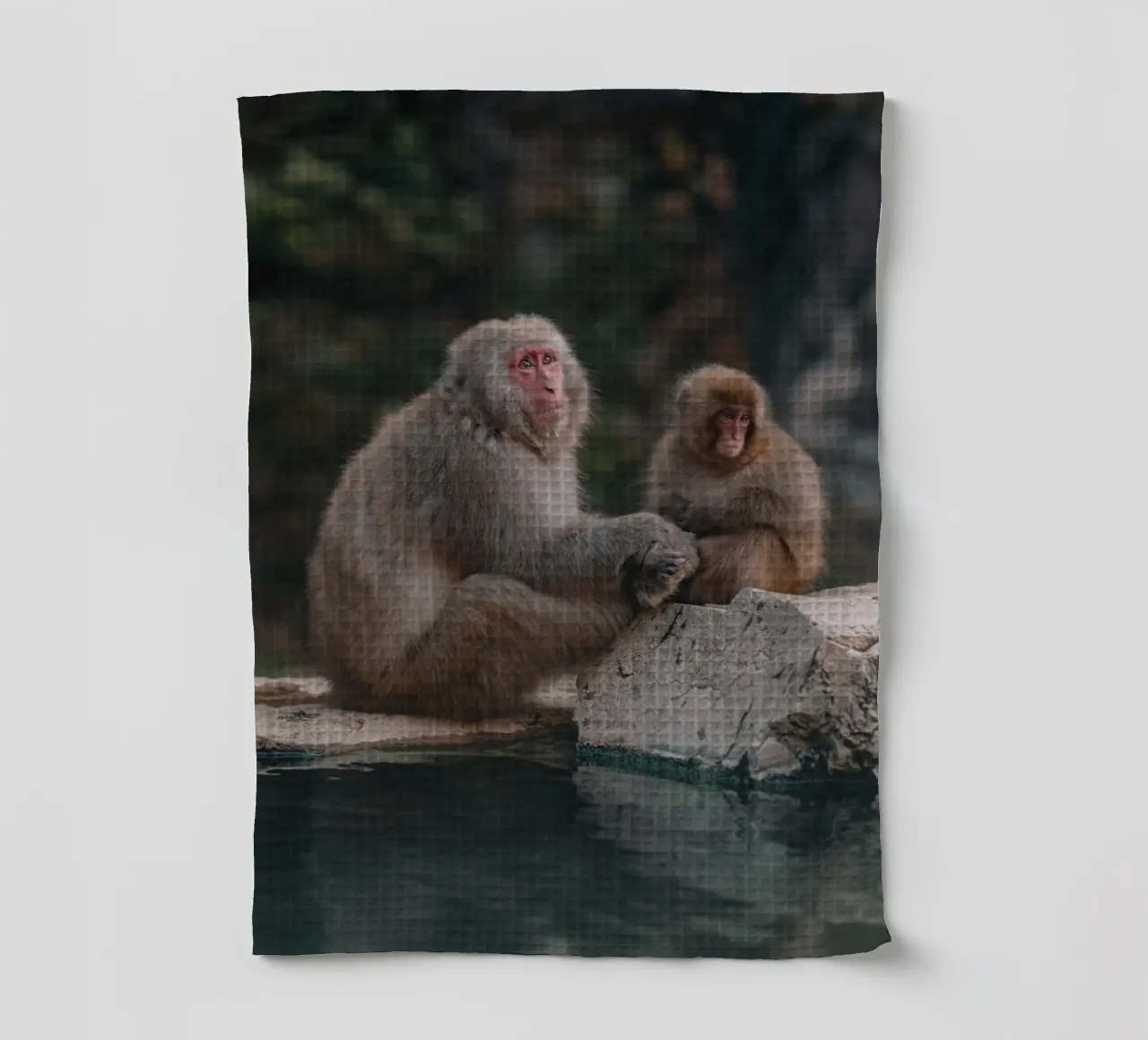 Scimmie delle nevi a Nagano, Giappone canovaccio da cucina da Marcel Bisig