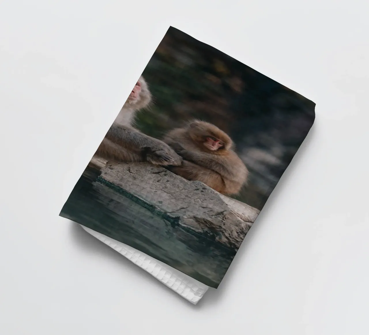 Scimmie delle nevi a Nagano, Giappone canovaccio da cucina da Marcel Bisig