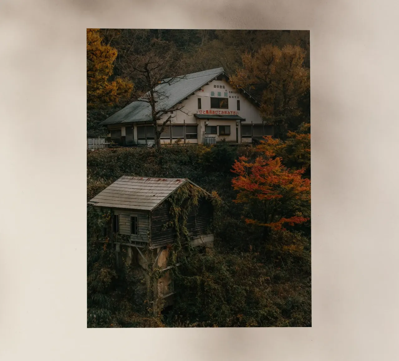 Primavera calda d'autunno a Nagano, Giappone pellicola backlit da Marcel Bisig