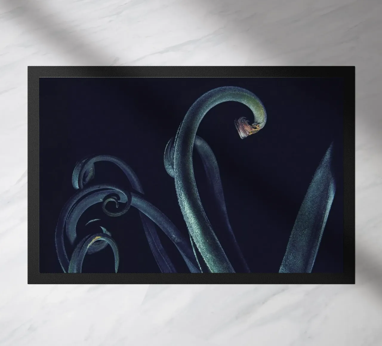 The Curve zerbino da Pale Grain