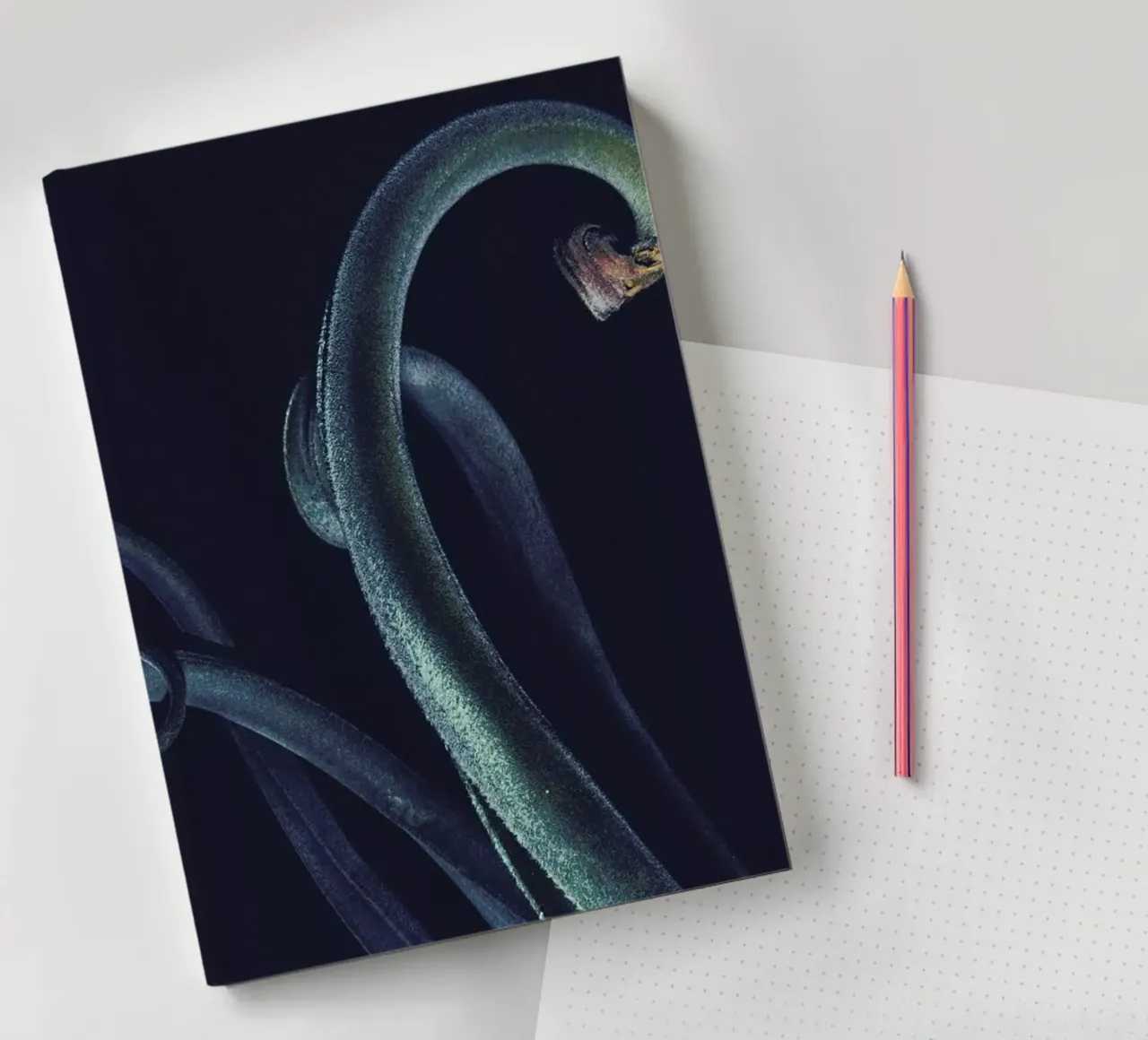 The Curve notebook by Pale Grain