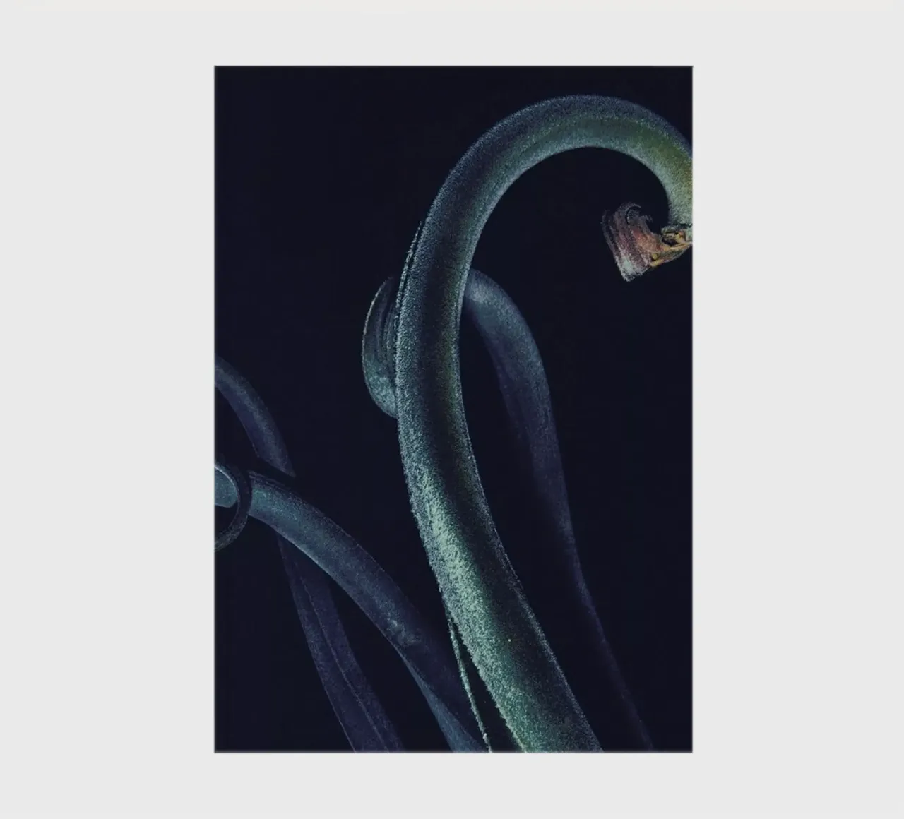 The Curve notebook by Pale Grain