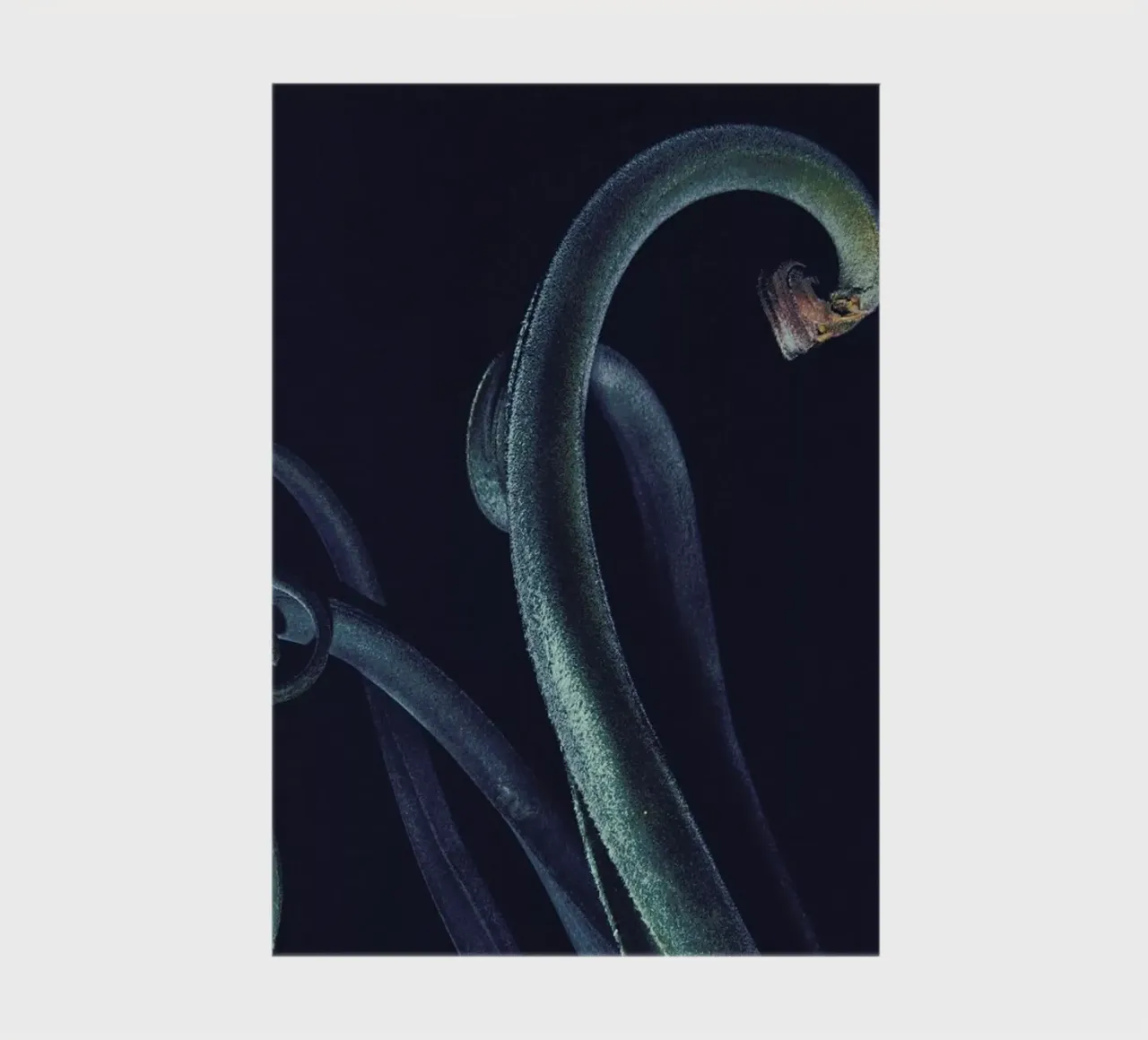 The Curve notebook by Pale Grain