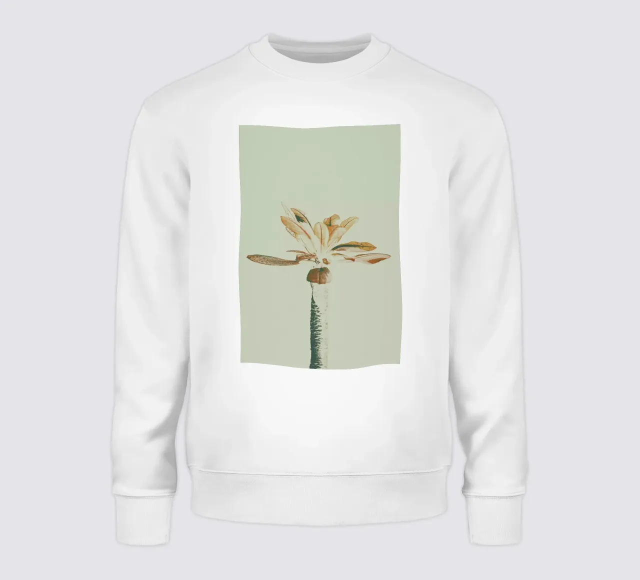 The Pale felpa da Pale Grain