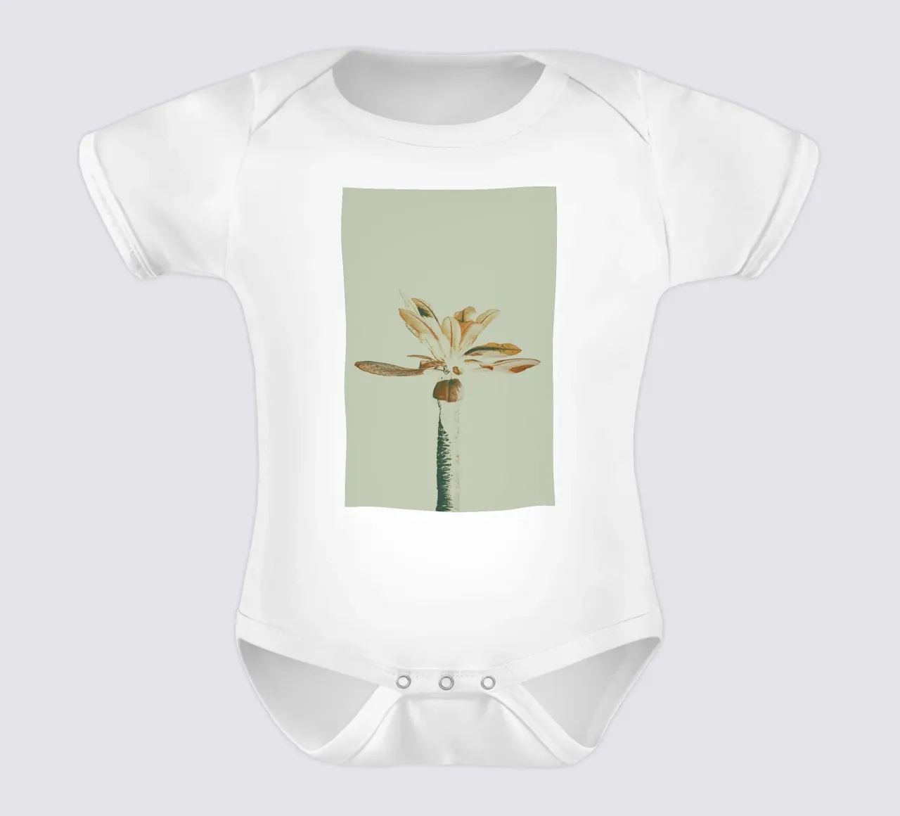 The Pale body neonato maniche corte da Pale Grain