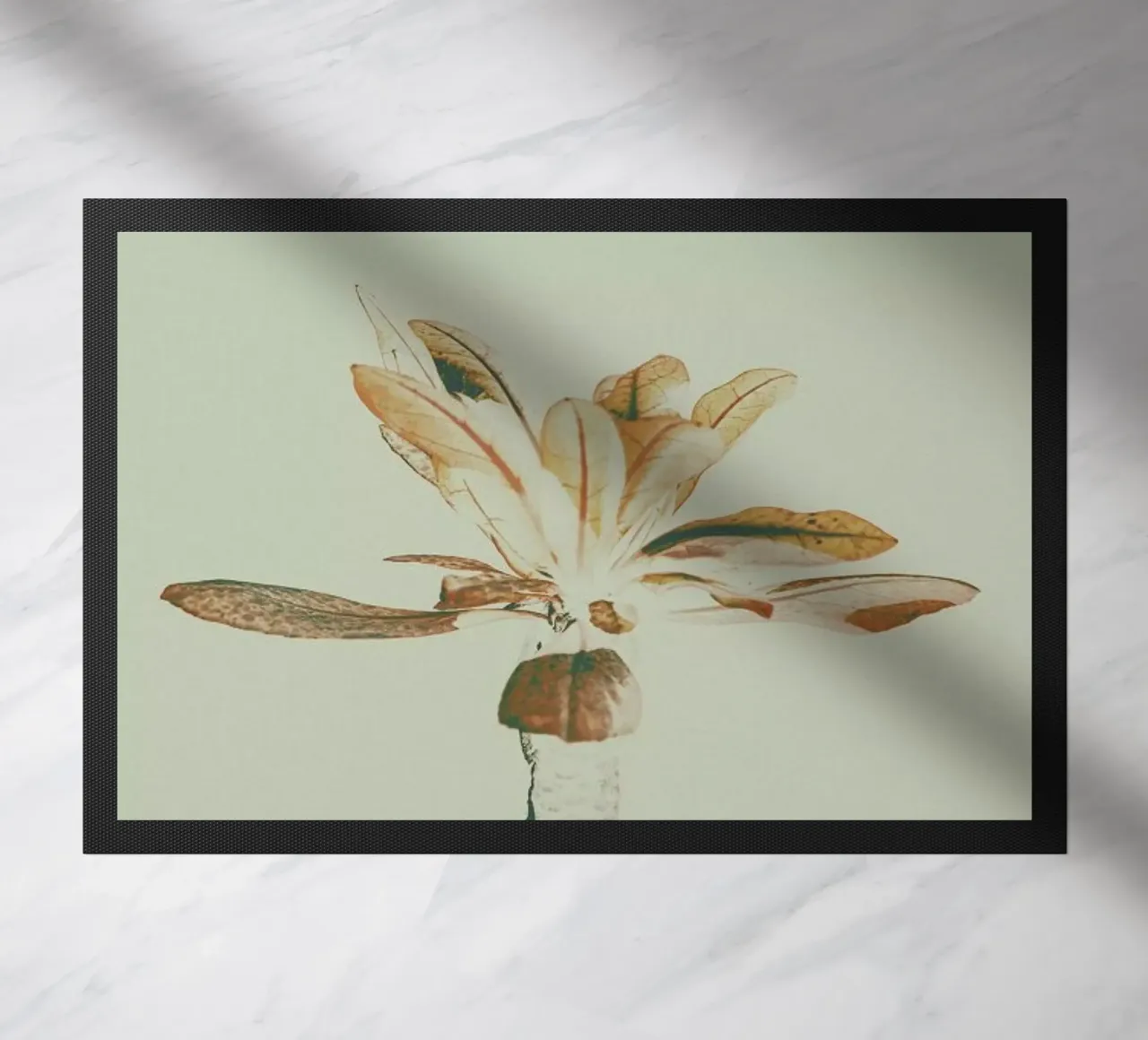 The Pale zerbino da Pale Grain