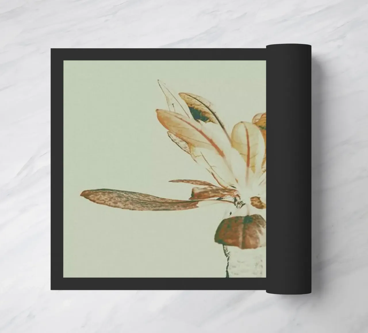 The Pale zerbino da Pale Grain