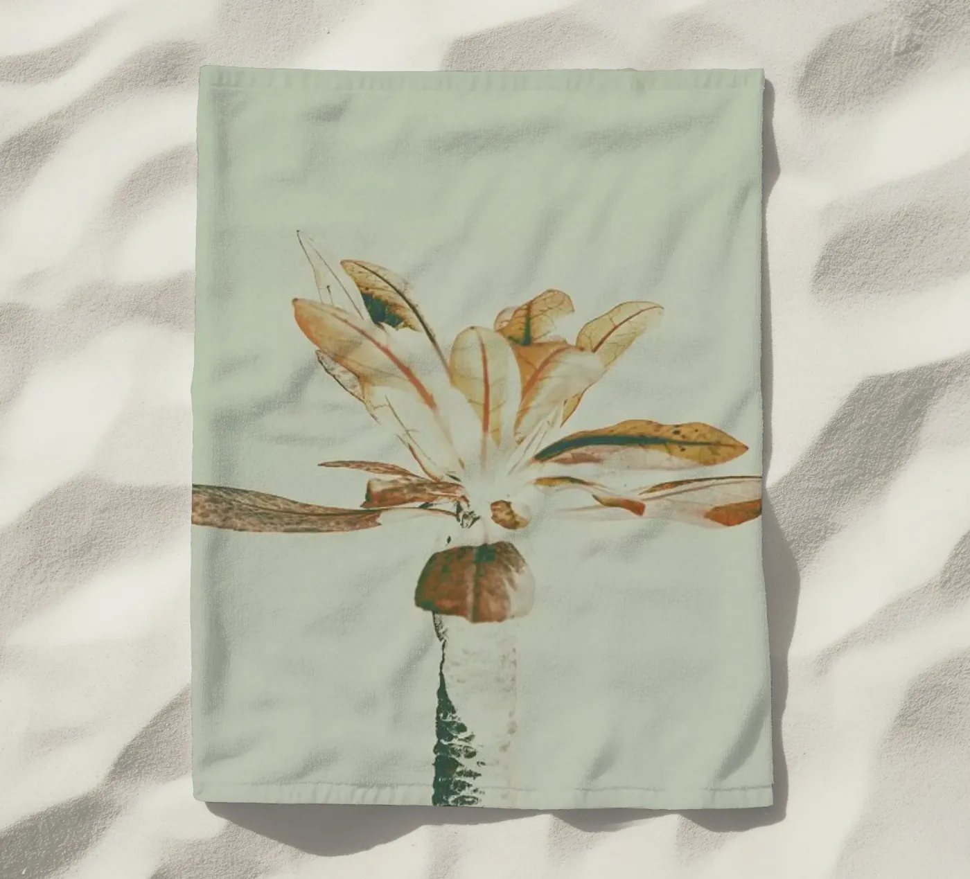 The Pale telo mare da Pale Grain