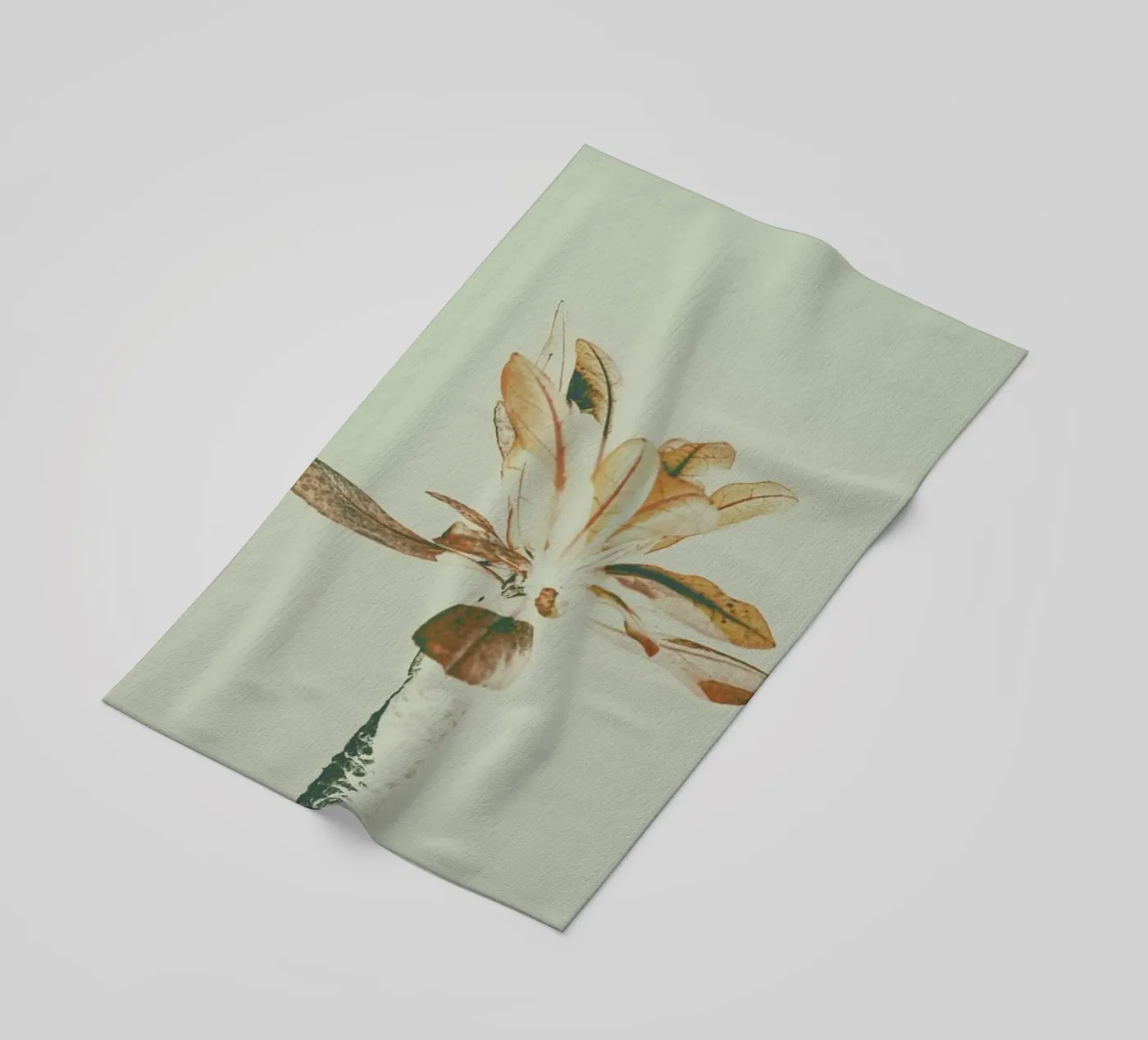 The Pale telo mare da Pale Grain