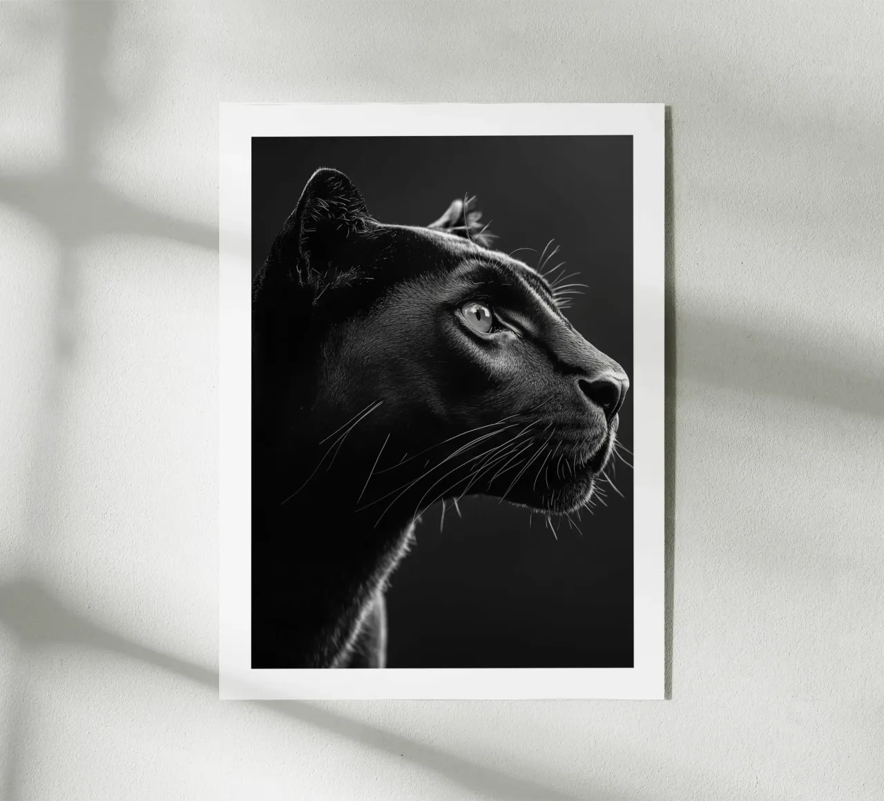 La maestosità della pantera nera plexiglass da Monochrome