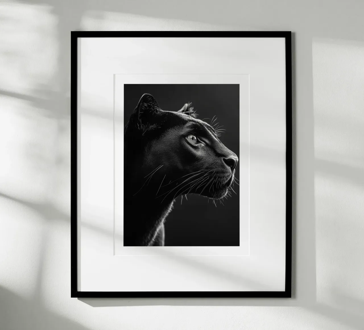 Die Majestät des schwarzen Panthers Poster mit Aluminium Rahmen von Monochrome