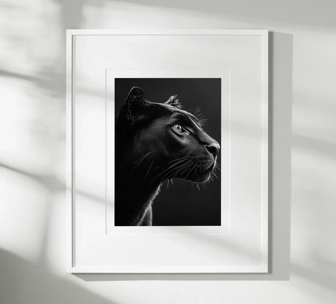 Die Majestät des schwarzen Panthers Poster mit Aluminium Rahmen von Monochrome