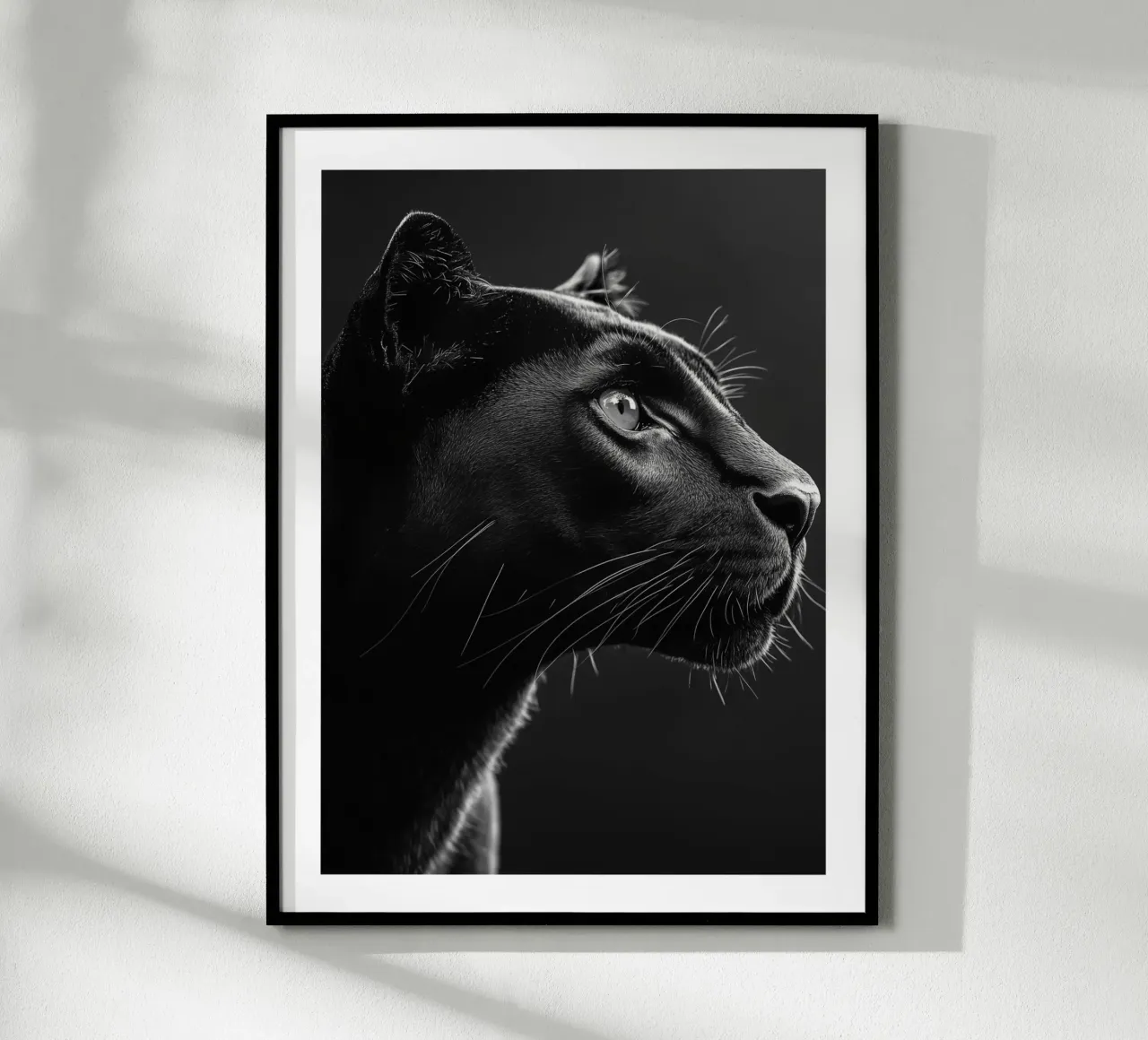 Die Majestät des schwarzen Panthers Poster mit Aluminium Rahmen von Monochrome
