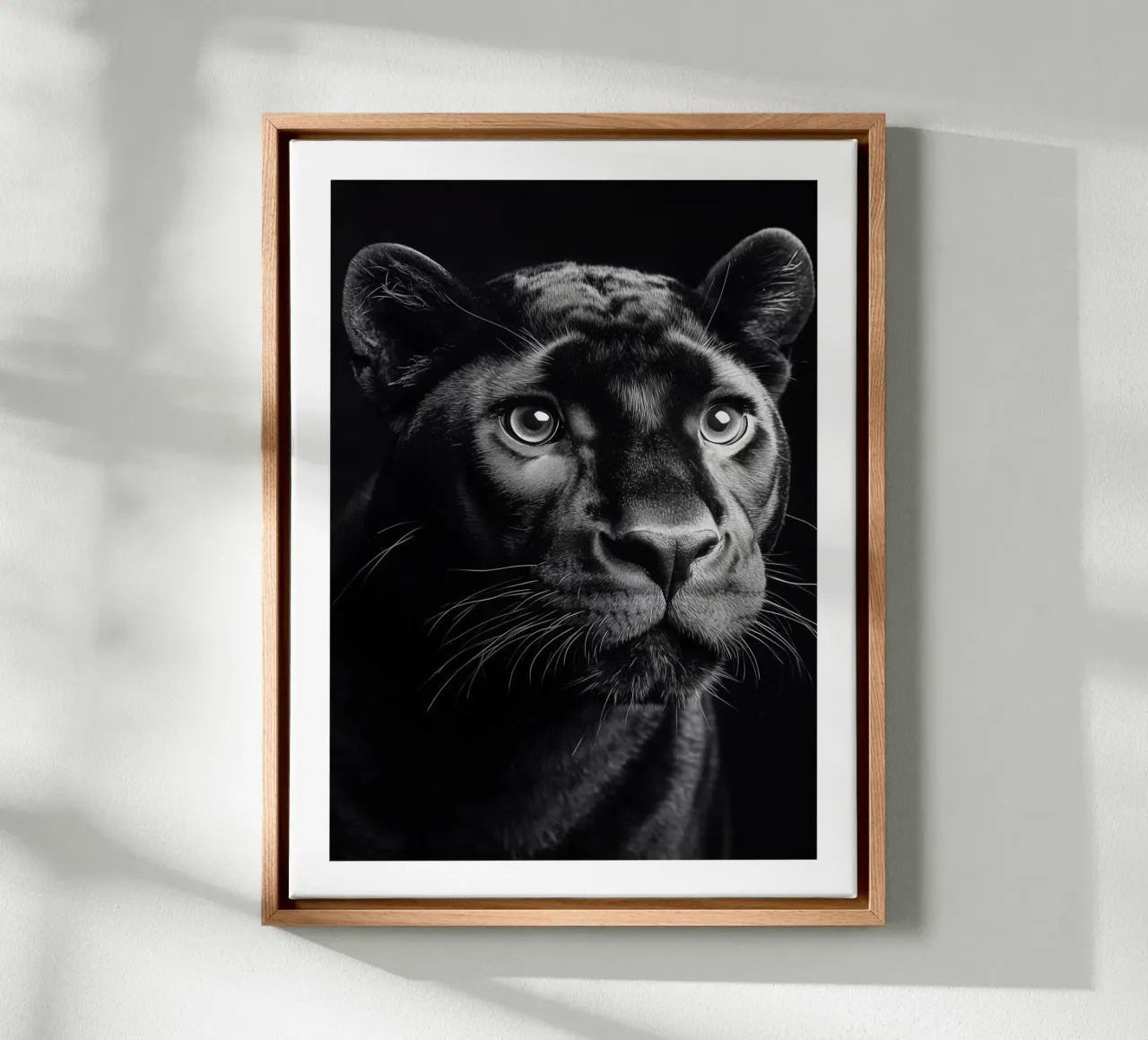 The fascination of the black panther canvas with Floater frame by Monochrome