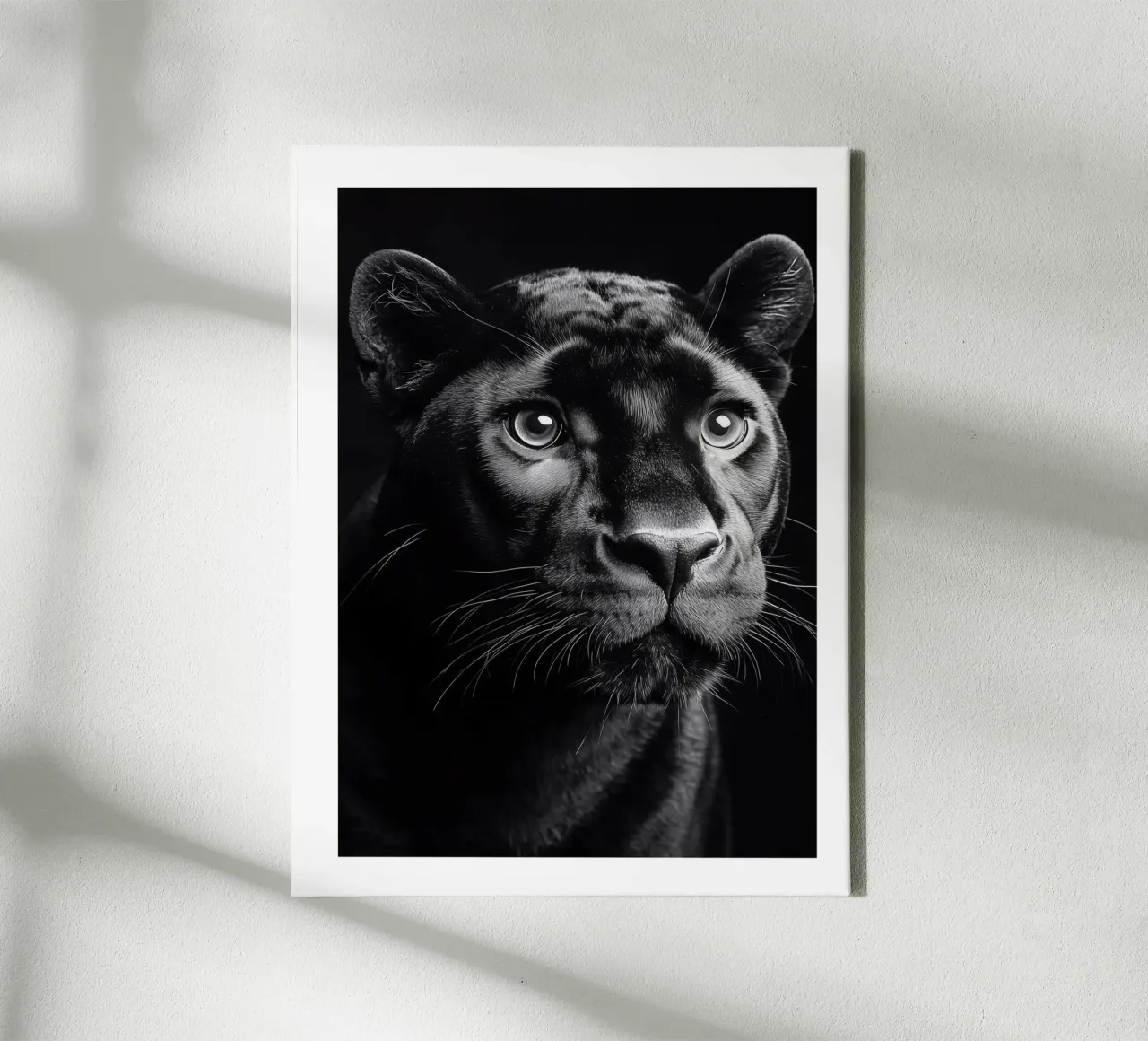 The fascination of the black panther canvas with Floater frame by Monochrome