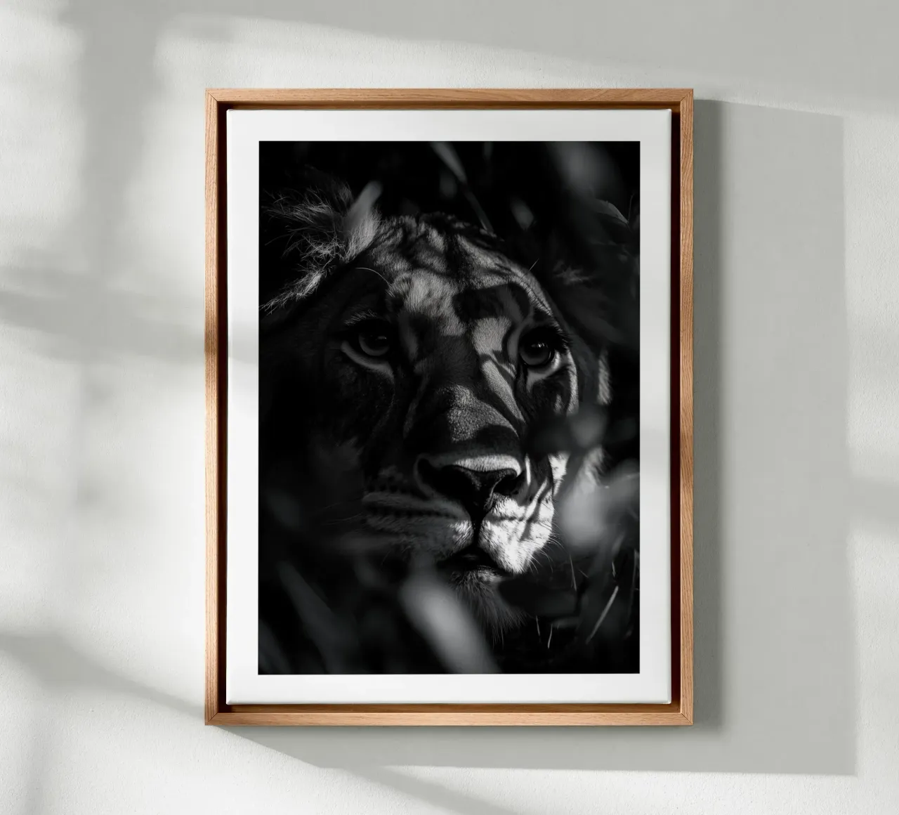 The mystical shadow of the lioness canvas with Floater frame by Monochrome