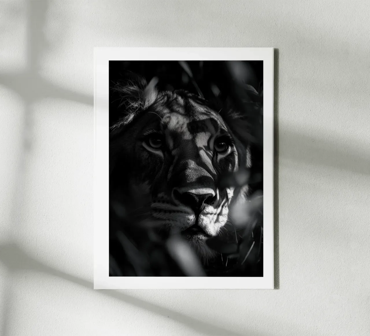 The mystical shadow of the lioness canvas with Floater frame by Monochrome