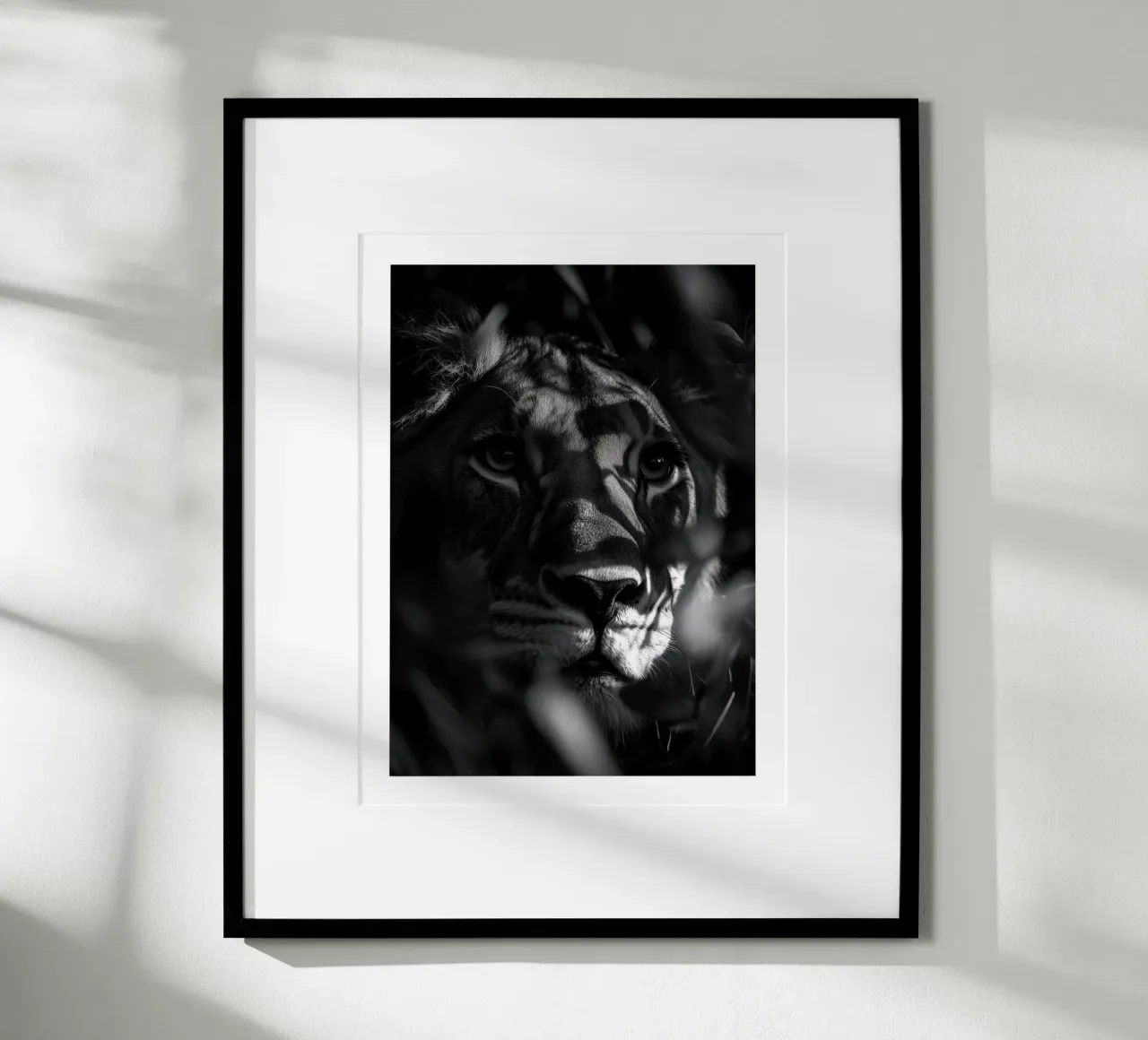 L'ombra mistica della leonessa carta hahnemühle da Monochrome