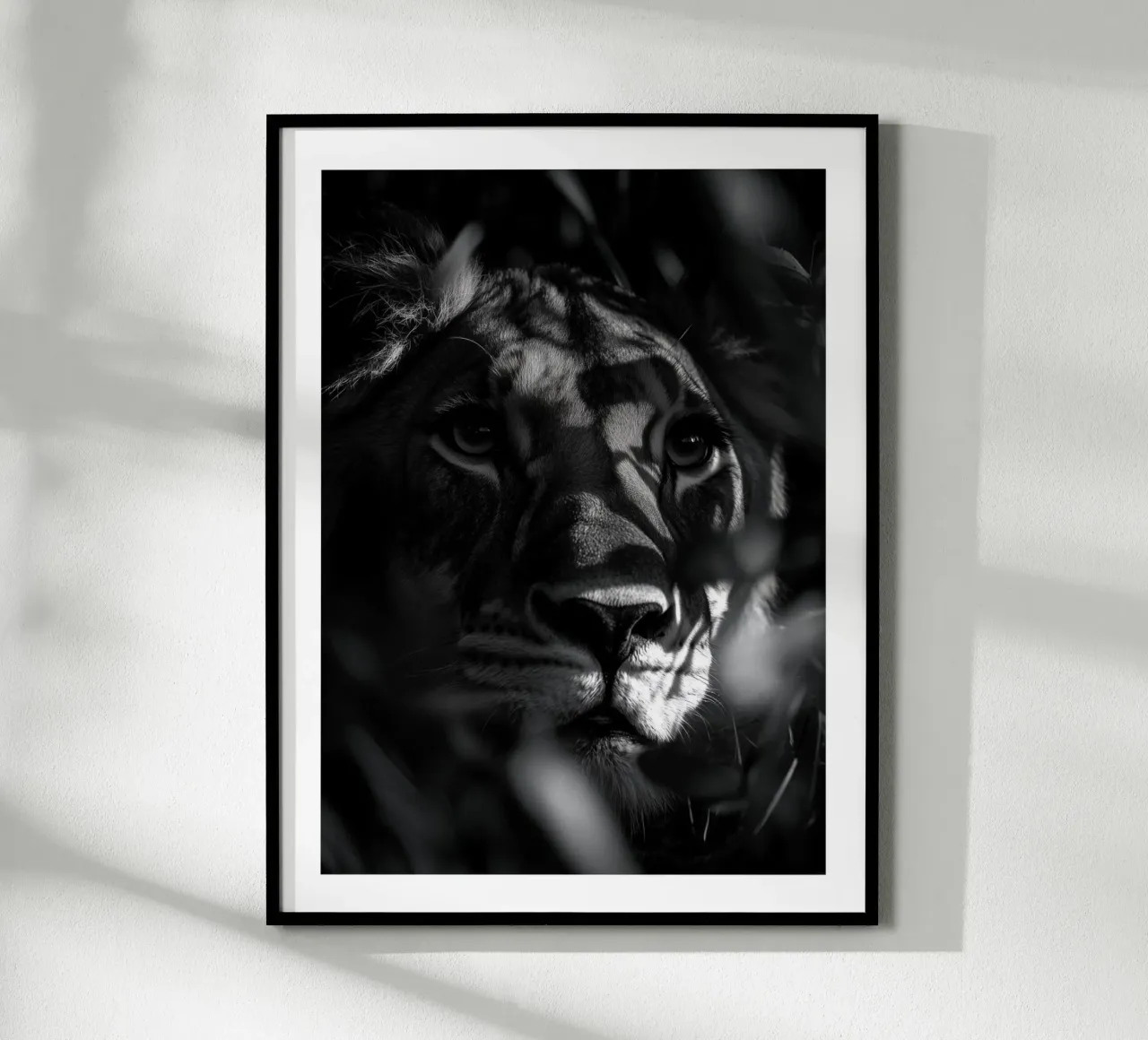 L'ombra mistica della leonessa carta hahnemühle da Monochrome