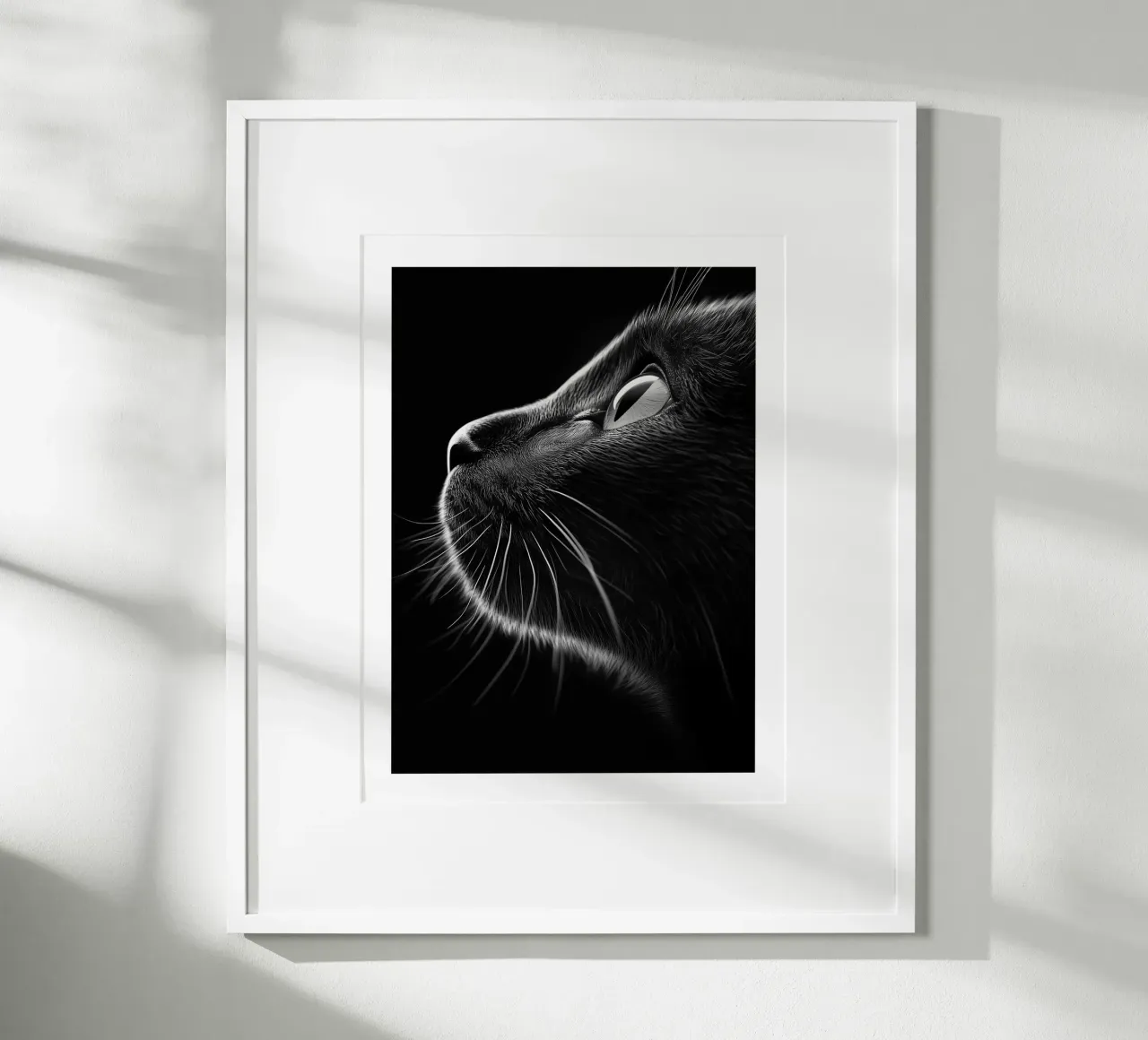 Le mystère dans les yeux du chat poster de Monochrome