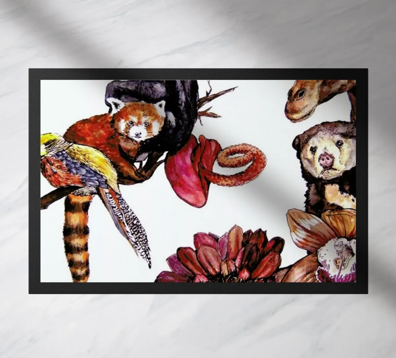 Similarities zerbino da Laura O'Connor