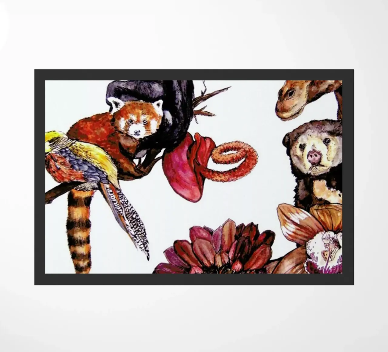 Similarities zerbino da Laura O'Connor