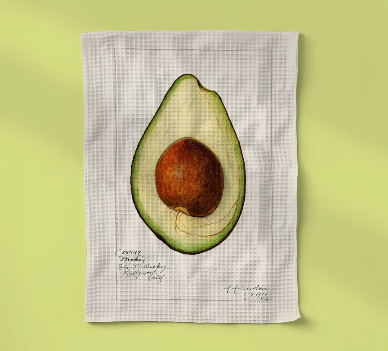 Amanda Almira Newton - Avocado canovaccio da cucina da Old Masters