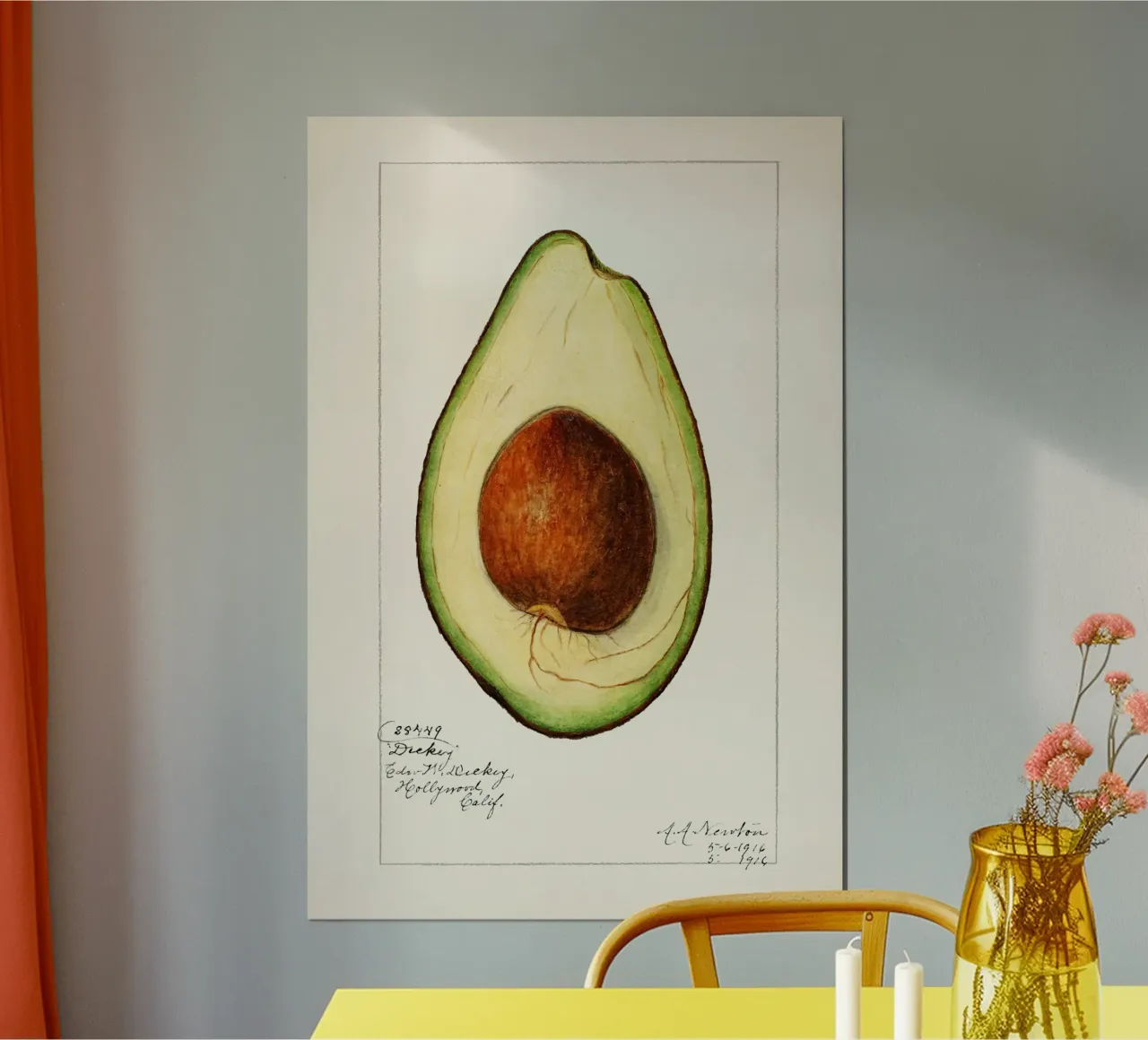 Amanda Almira Newton - Avocado carta hahnemühle da Old Masters