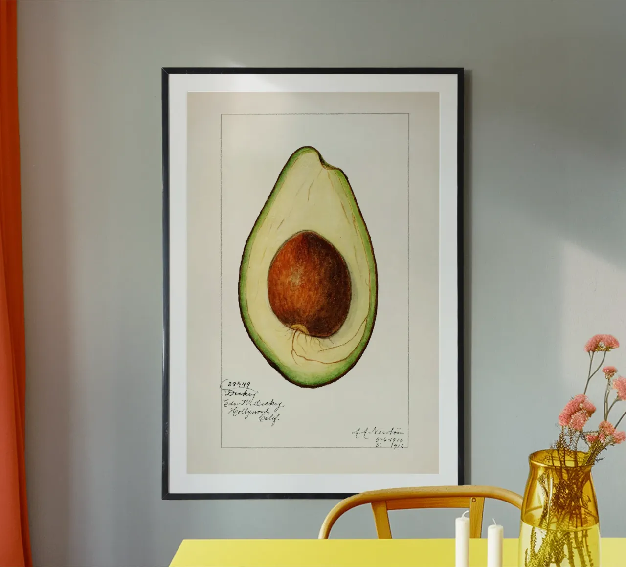 Amanda Almira Newton - Avocado carta hahnemühle da Old Masters