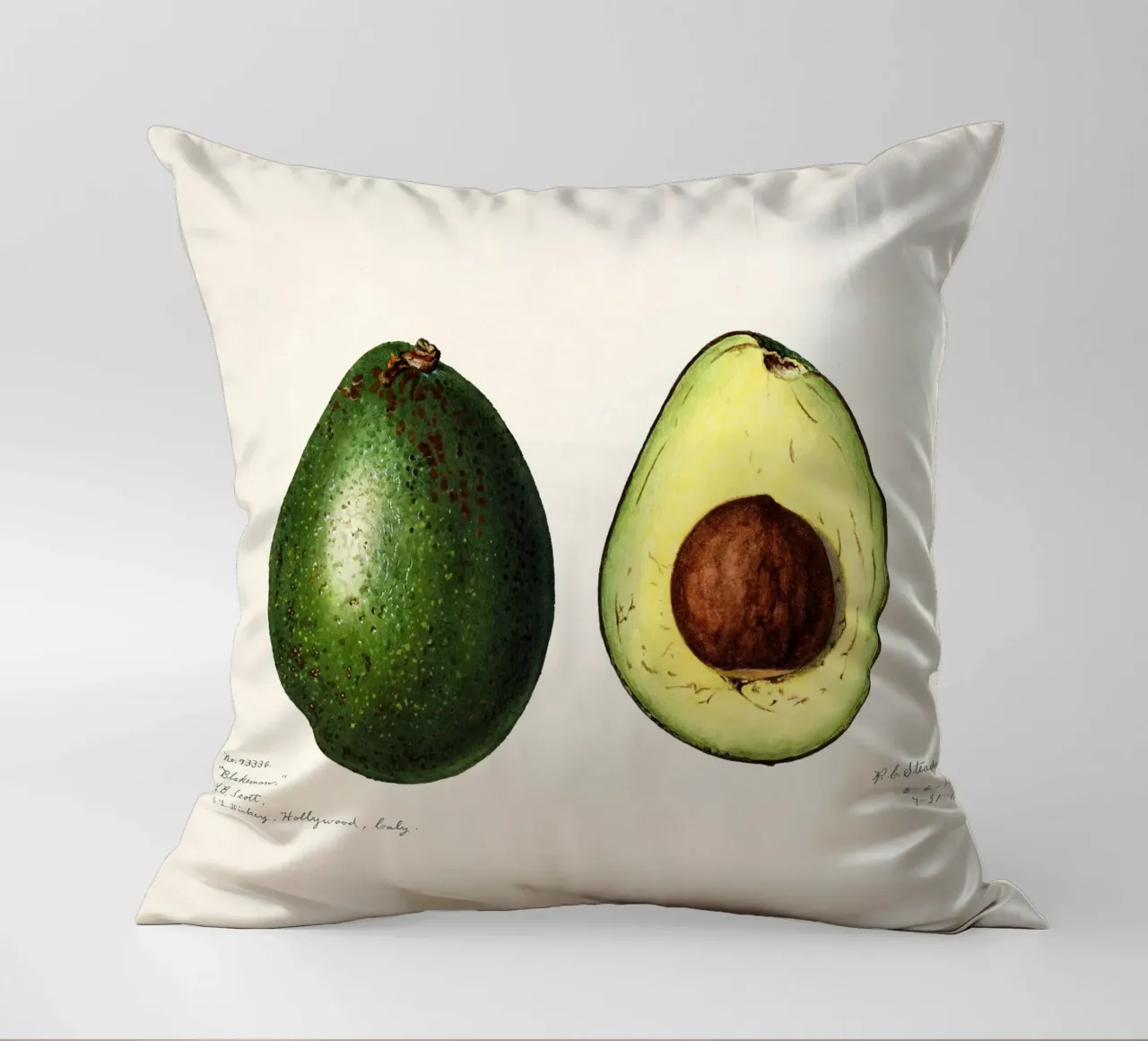 Amanda Almira Newton - Zwei Avocados cuscino da Old Masters