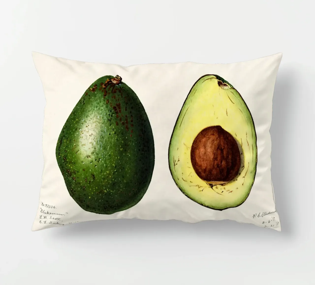 Amanda Almira Newton - Zwei Avocados cuscino da Old Masters