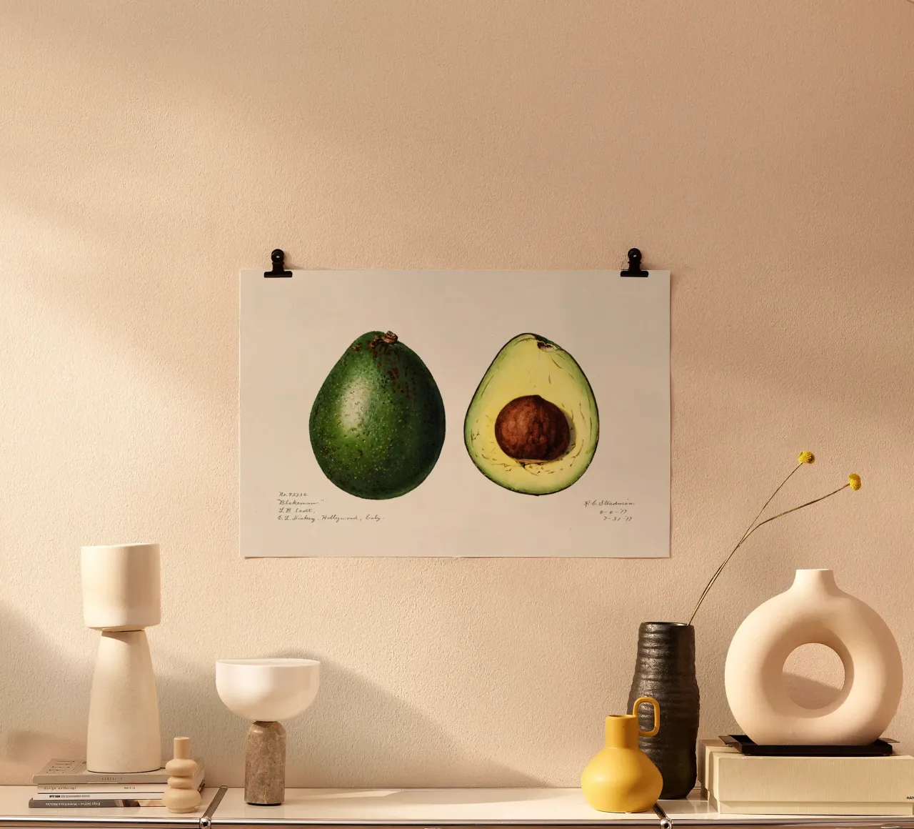 Amanda Almira Newton - Zwei Avocados carta hahnemühle da Old Masters