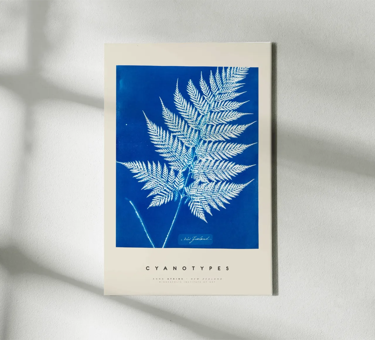 Anna Atkins - New Zealand tela con Cornice a cassetta da Old Masters