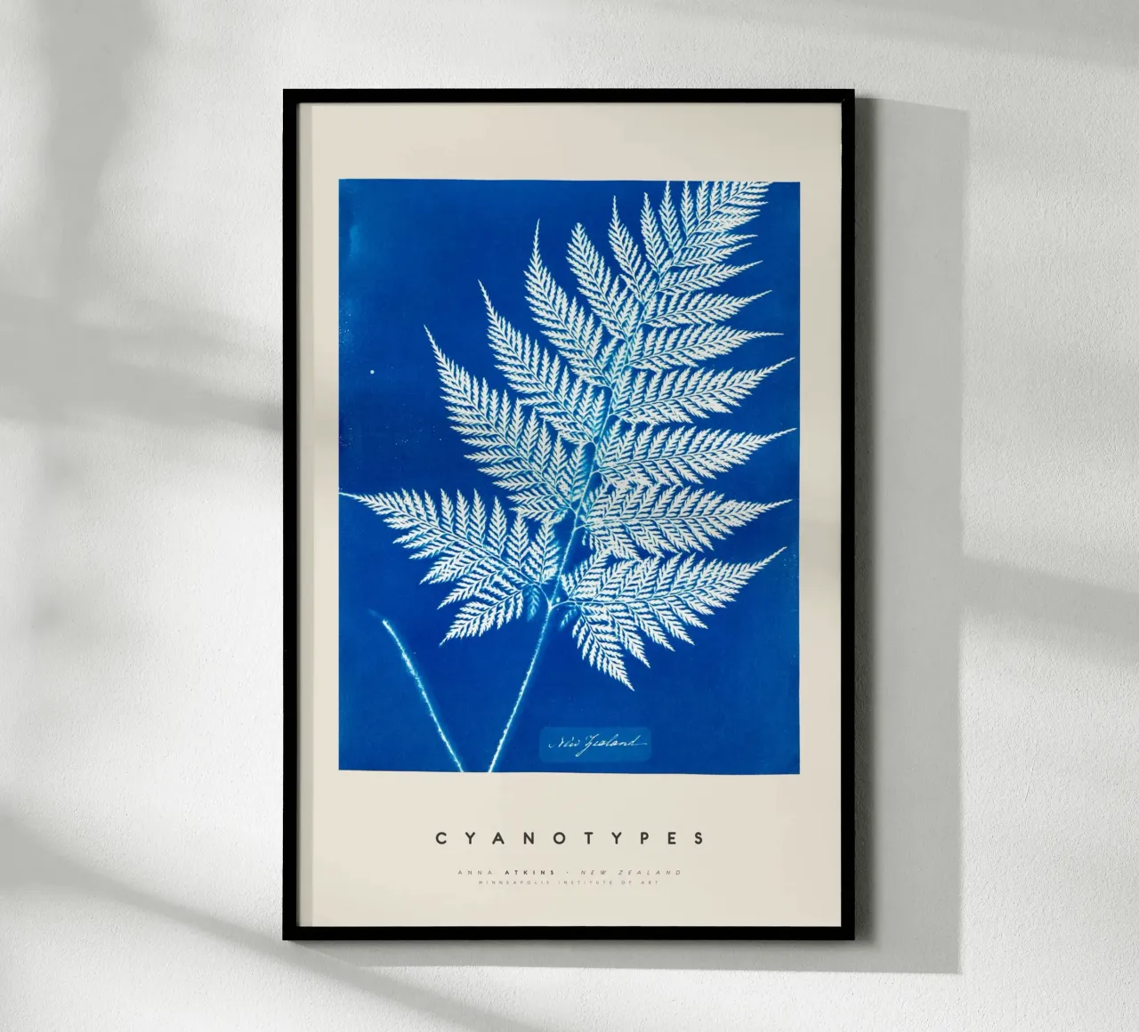 Anna Atkins - New Zealand poster da Old Masters