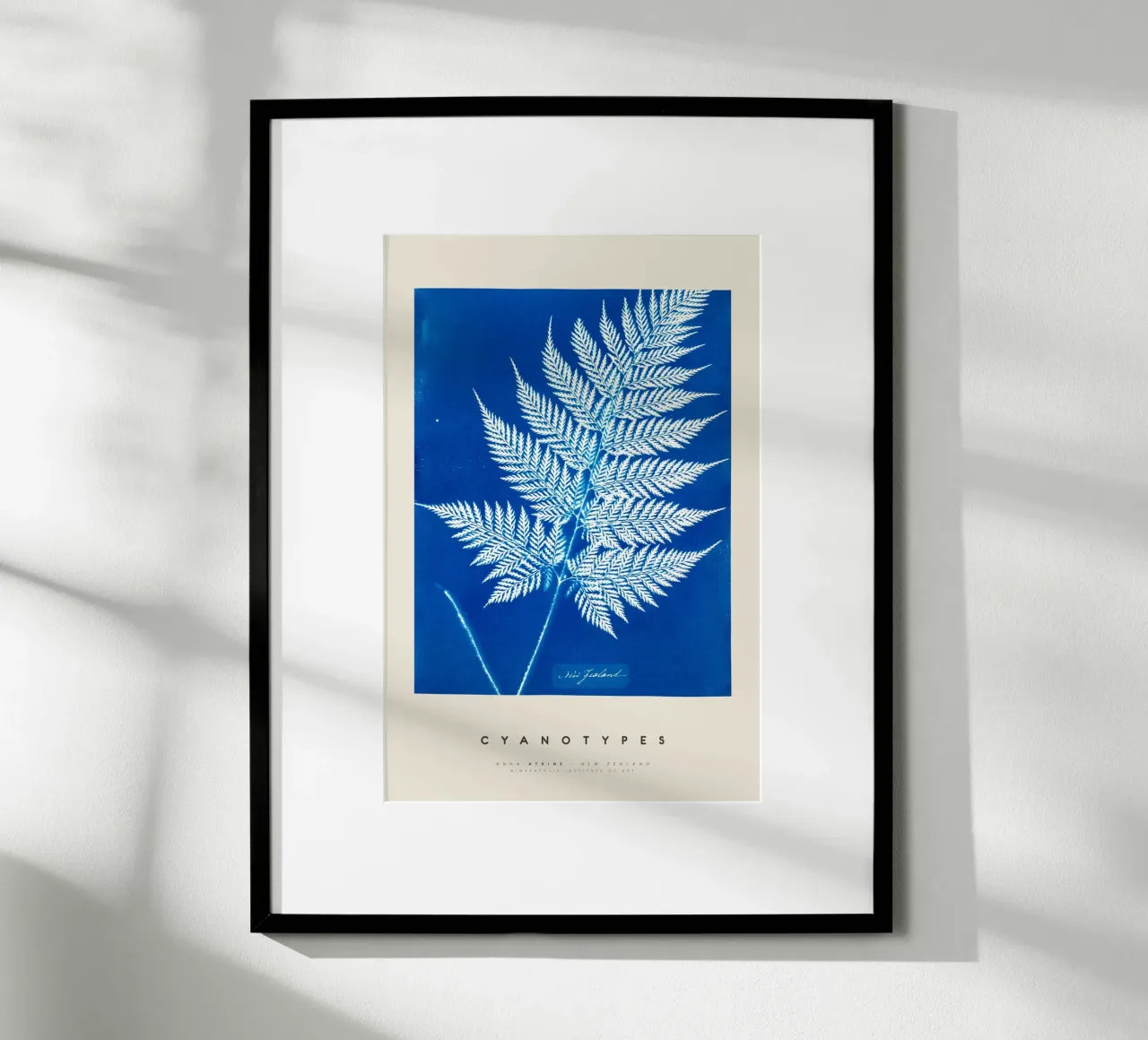 Anna Atkins - New Zealand poster da Old Masters