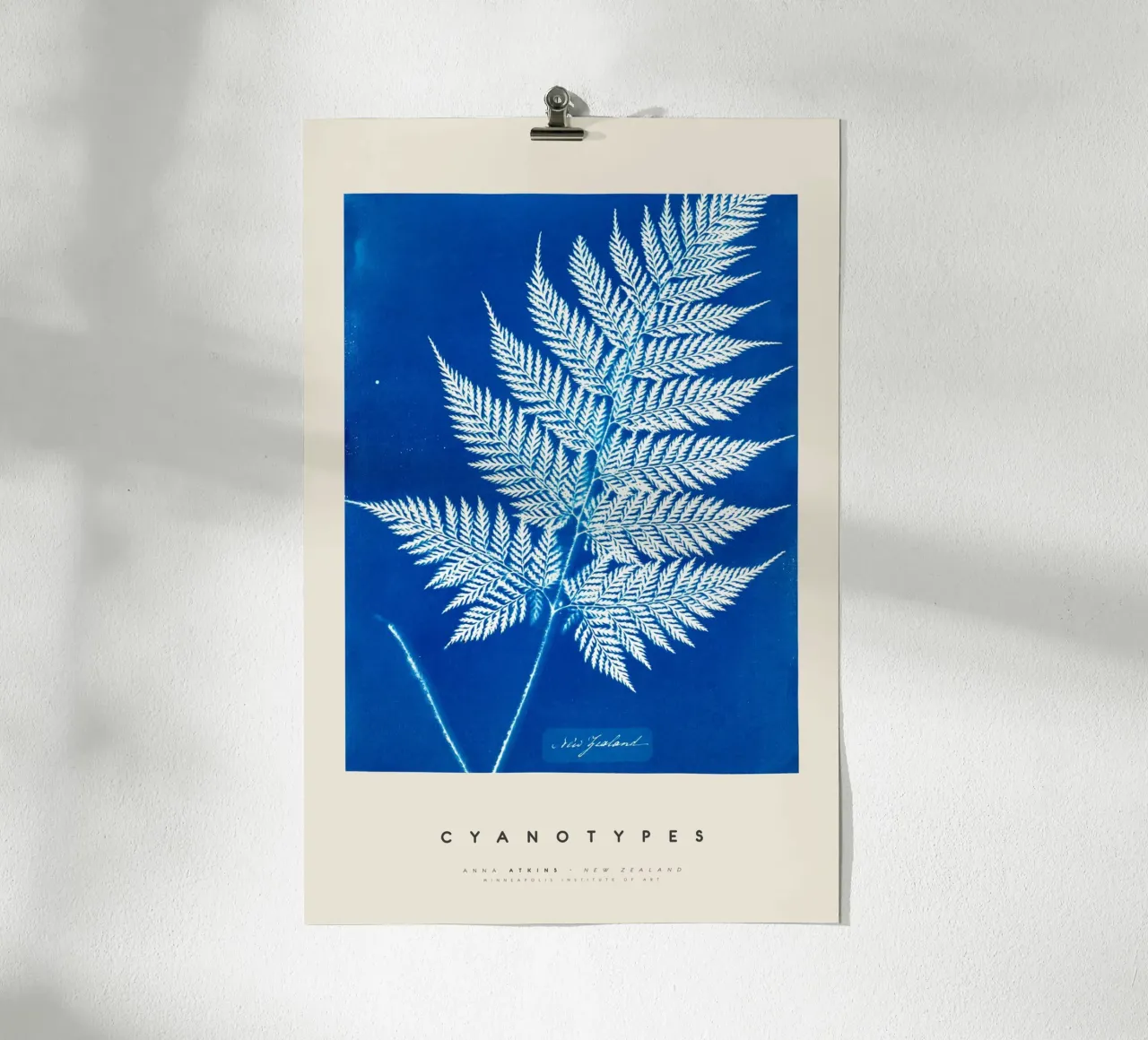 Anna Atkins - New Zealand poster da Old Masters
