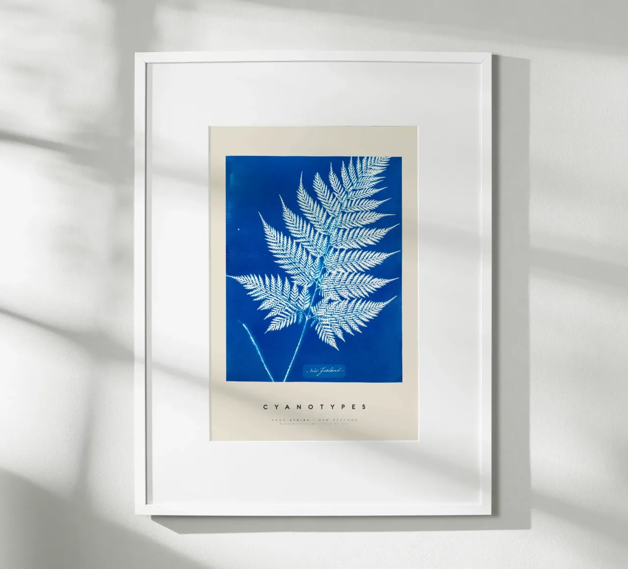 Anna Atkins - New Zealand poster da Old Masters