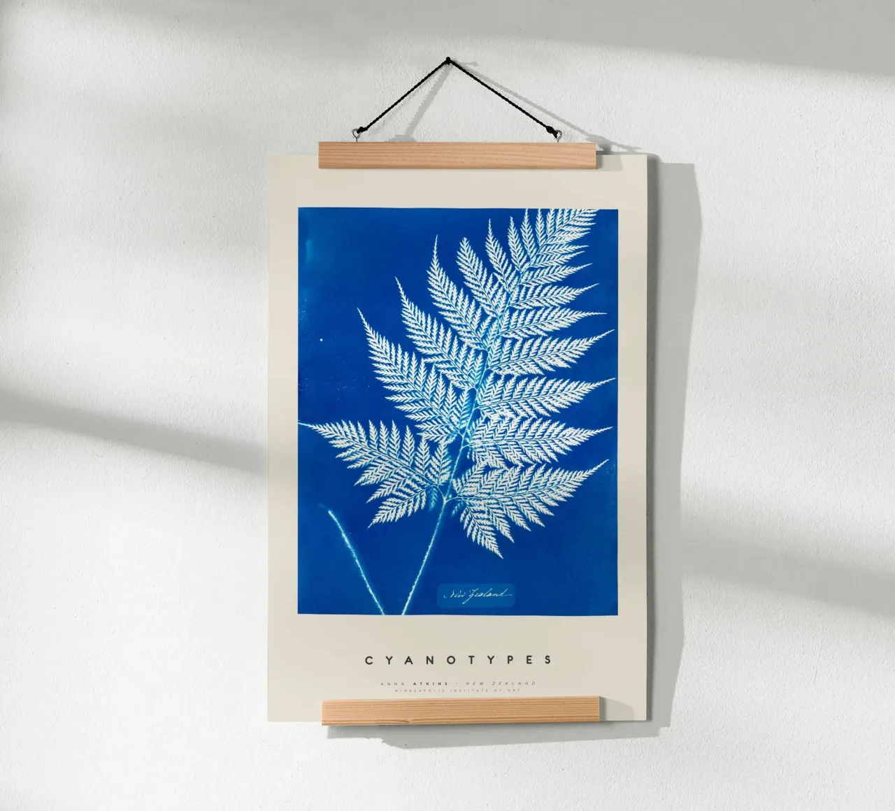 Anna Atkins - New Zealand poster da Old Masters
