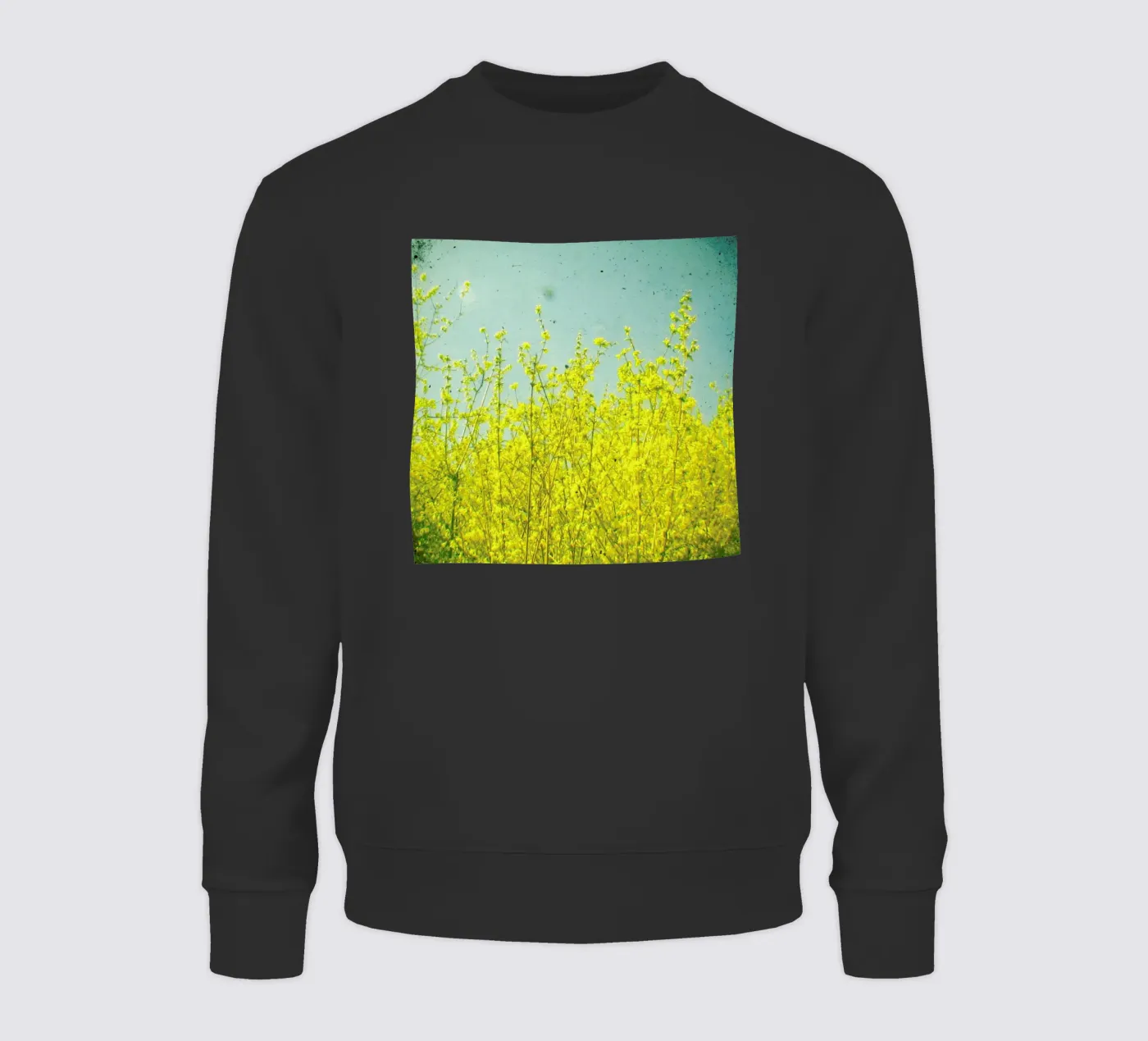 Summer felpa da Cassia Beck Photography