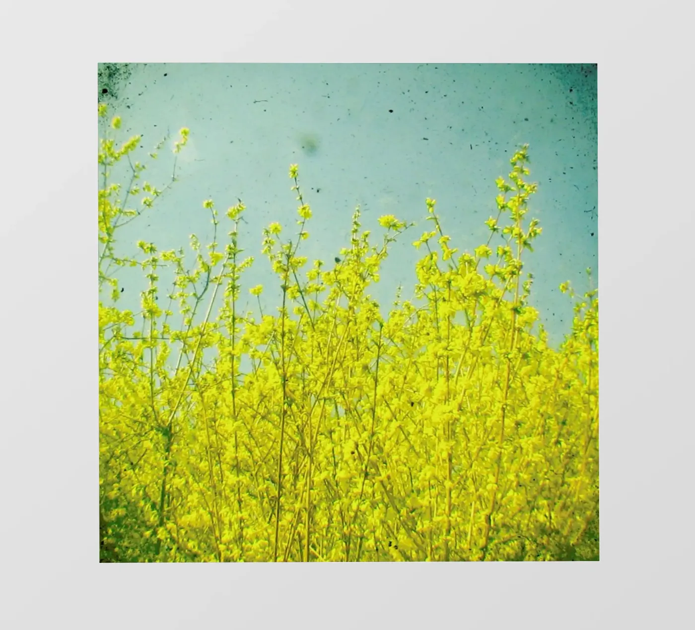 Summer telo in pvc da Cassia Beck Photography