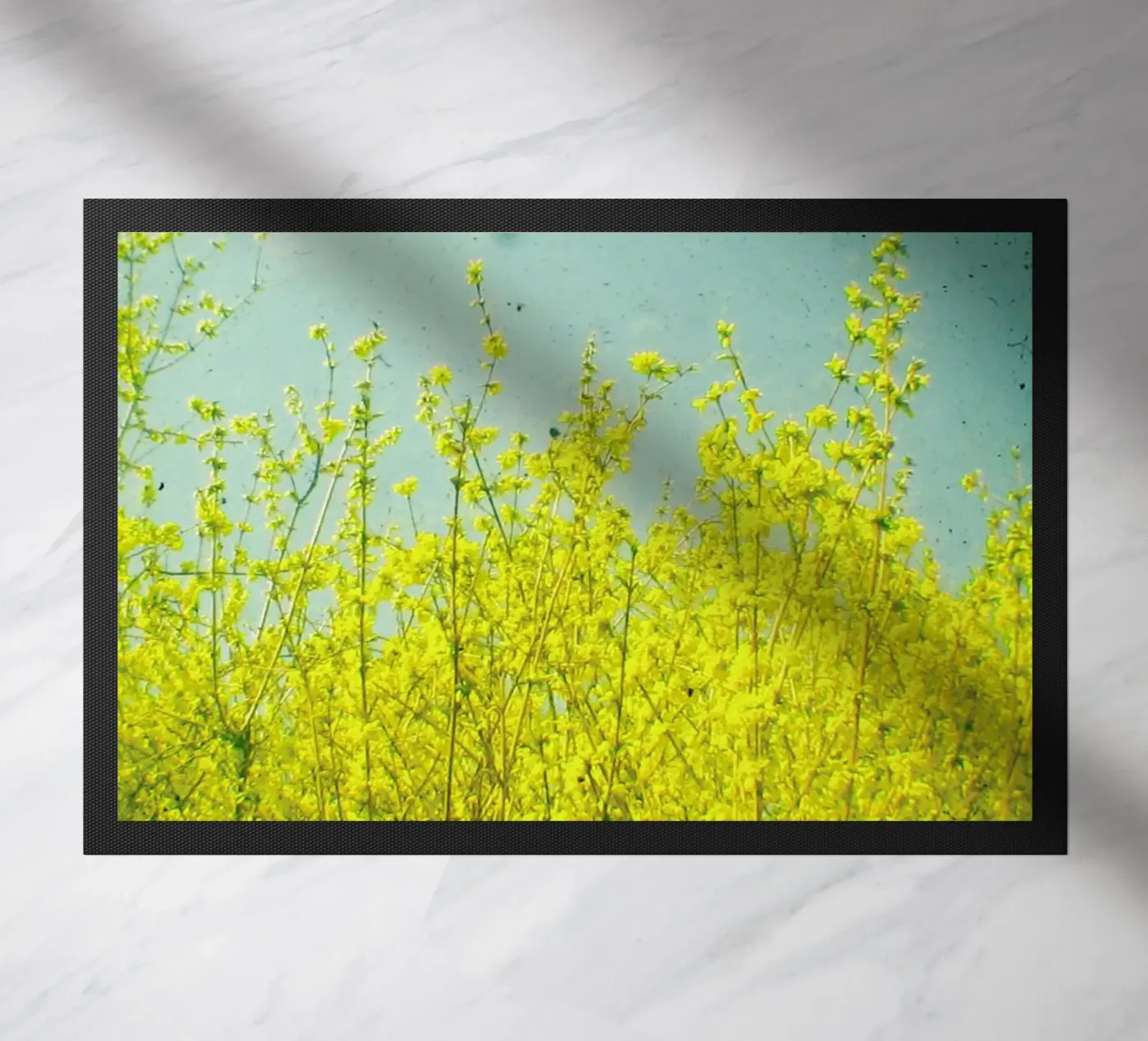 Summer zerbino da Cassia Beck Photography