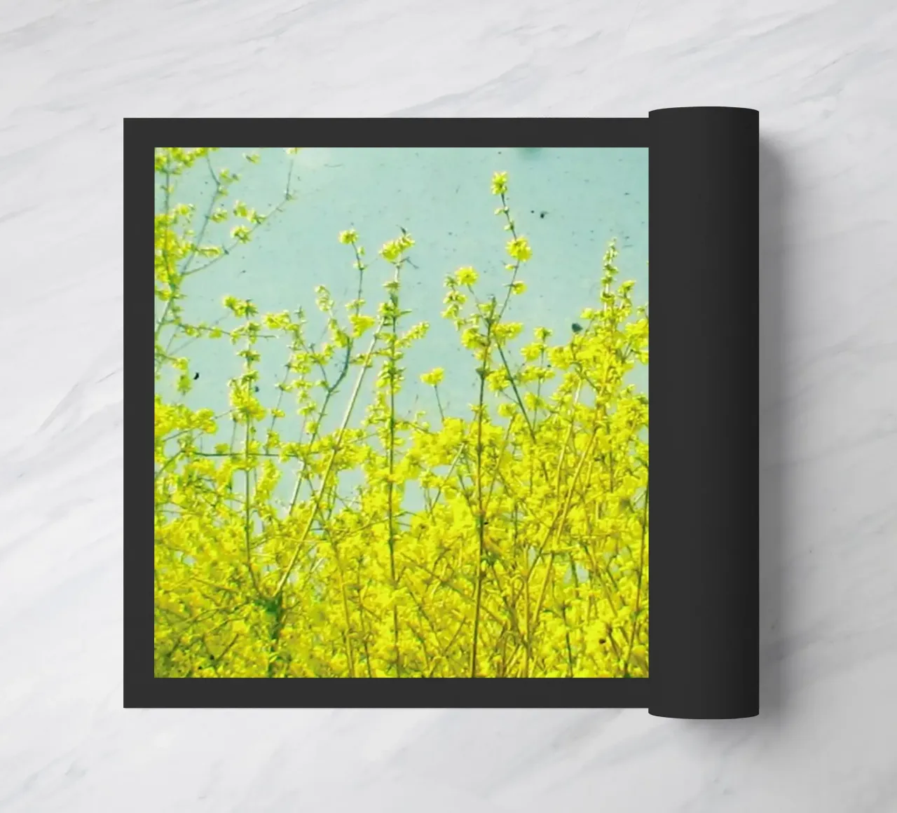 Summer zerbino da Cassia Beck Photography