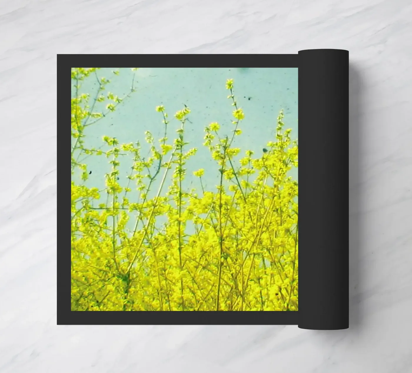 Summer zerbino da Cassia Beck Photography