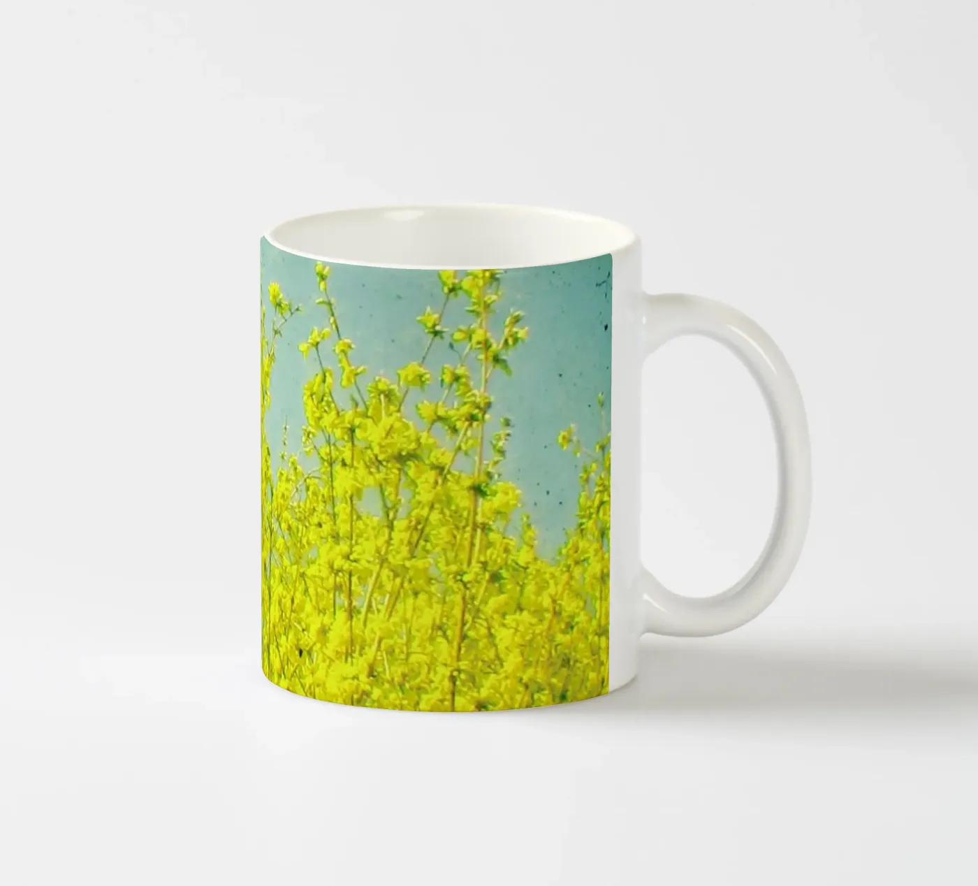 Summer ceramic mug by Cassia Beck Photography